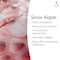 Swiss Image ANTI-AGE 36+ Elasticity Boosting Peel-Off Mask 50ml