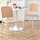 Jeffcoco Rattan Plastic Chairs, Minimalist Design,Modern Kitchen Dining Room Plastic chair Use scene Garden Balcony kitchen (Black 1 pc)
