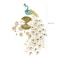 Jeffcoco Furniture Metal Wall clock one piece home Wall Art decoration luxury battery powered peacock clock, for the living room, bedroom decoration hotel lobby art display