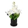 Jeffcoco Furniture Artificial flower,Artificial plants with Holder Plate Home Decor Corner,indoor, outdoor, Garden, decoration For House Decorative Art Display (White)
