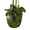 Jeffcoco Furniture Artificial flower,Artificial plants with Holder Plate Home Decor Corner,indoor, outdoor, Garden, decoration For House Decorative art (Light Pink)