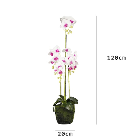 Jeffcoco Furniture Artificial flower,Artificial plants with Holder Plate Home Decor Corner,indoor, outdoor, Garden, decoration For House Decorative art (Light Pink)