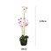 Jeffcoco Furniture Artificial flower,Artificial plants with Holder Plate Home Decor Corner,indoor, outdoor, Garden, decoration For House Decorative art (Light Pink)