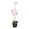 Jeffcoco Furniture Artificial flower,Artificial plants with Holder Plate Home Decor Corner,indoor, outdoor, Garden, decoration For House Decorative art (Light Pink)