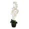 Jeffcoco Furniture Artificial flower,Artificial plants with Holder Plate Home Decor Corner,indoor, outdoor, Garden, decoration For House Decorative art (White)