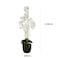 Jeffcoco Furniture Artificial flower,Artificial plants with Holder Plate Home Decor Corner,indoor, outdoor, Garden, decoration For House Decorative art (White)
