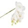 Jeffcoco Furniture Artificial flower,Artificial plants with Holder Plate Home Decor Corner,indoor, outdoor, Garden, decoration For House Decorative art (White)