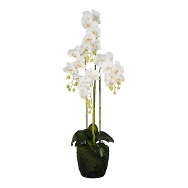 Jeffcoco Furniture Artificial flower,Artificial plants with Holder Plate Home Decor Corner,indoor, outdoor, Garden, decoration For House Decorative art (White)