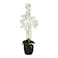 Jeffcoco Furniture Artificial flower,Artificial plants with Holder Plate Home Decor Corner,indoor, outdoor, Garden, decoration For House Decorative art (White)
