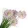 Jeffcoco Furniture Home Decor Artificial Plant Gift Set of 3 Reed grass simulation plant fake flower simulation flower green tree decoration for indoor,living room(Light Pink)