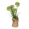 Jeffcoco Furniture Home Decor Artificial Plant Gift Set of 3 Reed grass simulation plant fake flower simulation flower green tree decoration for indoor,living room(Green)