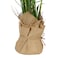 Jeffcoco Furniture Home Decor Artificial Plant Gift Set of 3 Reed grass simulation plant fake flower simulation flower green tree decoration for indoor,living room(Green)