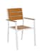 Jeffcoco Furniture Modern White and Brown Outdoor Iron and WPC Armchair, Suitable for Patio, Garden, Courtyard(One Piece)
