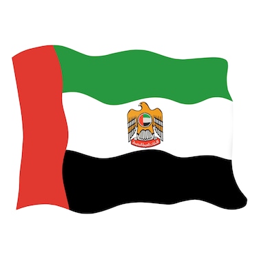 UAE Flag Sticker Large
