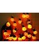 HALAYAYA Halloween Lights for Indoor Outdoor Decor Party Decoration Halloween String Lights 3D pumpkins, Mummy,skull heads, ghosts, Battery Operated (B(3meters, 20LED))