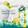 JIF Antibacterial Dishwashing liquid Lemon &amp; Mint, 750ml