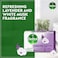 Dettol Sensitive Bar Soap, Lavender &amp; White Musk Scent, 120g Pack of 4