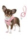 Fida Comfy Dog Harness with Leash, Soft Puppy Vest Escape Proof, Breathable Lightweight Soft Mesh, Adjustable Reflective Step-in Harness for Cat &amp; Extra-Small Pet (XS, Pink)