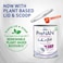 Nestle PreNAN Stage 2 Infant Formula for Premature and Low Birth Weight Infants, 400g