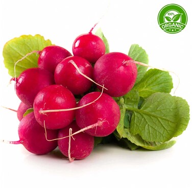 فجل أحمر عضوي معبأ مسبقا