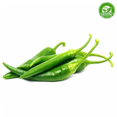 فلفل حار أخضر عضوي 500 غرام