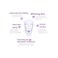MUNTAQI 7 Color LED Light Therapy Facial Mask &ndash; Skin Rejuvenation Beauty Device for Anti-Acne, Wri