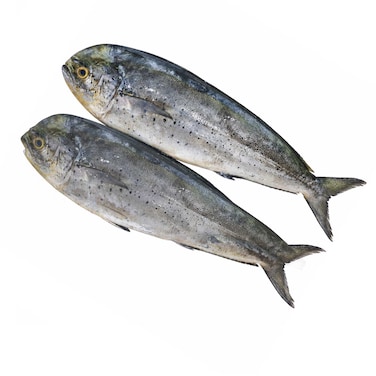 Fresh Mahe Mahe