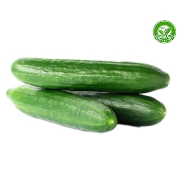 Emirates Bio Farm Organic Cucumber 500g
