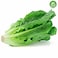 Organic Lettuce Romaine Prepacked