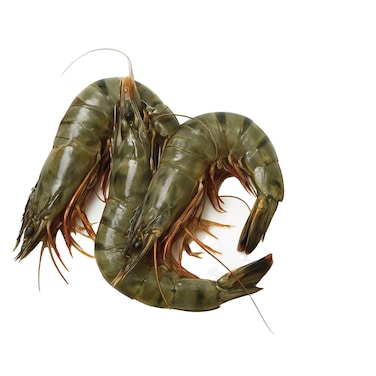 Fresh Tiger Shrimps U15