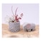 Funbo Air Hardening Clay, Grey, 1000g