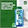 Dettol Cool Shower Gel &amp; Body Wash, Menthol &amp; Eucalyptus Scent, 250ml Pack of 2