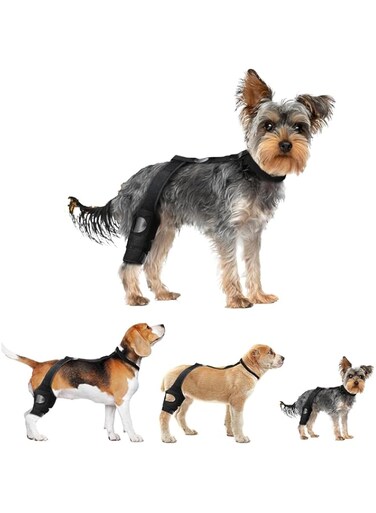 Dog knee pads are suitable for torn ACL hind legs. The dog ACL supports the hind leg buttocks and hind leg support bracket, which can be adjusted for use in ACL torn hind legs (Black, S)
