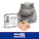 Lechat Fresh by Monge   Cat Wet Food with Beef   Super Premium Complete Wet Cat Food   Pat&egrave; &amp; Chunkies in Alutray - 32x100g
