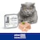Lechat Fresh by Monge   Cat Wet Food with Chicken and vegetables   Super Premium Complementary Wet Cat Food   Pat&egrave; &amp; Chunkies in Alutray - 32x100g