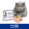 Lechat Fresh by Monge   Cat Wet Food with Salmon   Super Premium Complete Wet Cat Food   Pat&egrave; &amp; Chunkies in Alutray - 32x100g