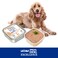 Special Dog Excellence by Monge   Senior Light Dog Wet Food with Chicken &amp; Turkey   Super Premium Complementary Wet Dog Food   Pat&egrave; in Alutray - Pack of 24x150g