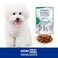 Special Dog Excellence by Monge   Mini Dog Wet Food with Rabbit   Super Premium Complementary Wet Mini Dog Food   Chunkies in Pouch - Pack of 24x100g