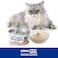 Lechat Excellence by Monge   Kitten Wet Food Rich in Salmon and Chicken   Super Premium Complete Wet Kitten Food   Mousse in Can - Pack of 24x85g