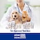 Lechat Excellence by Monge   Sterilised Cat Wet Food Rich in Chicken and Liver   Super Premium Complementary Wet Cat Food   Mousse in Can - Pack of 24x85g