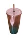 Steel Double Wall Tumbler With Straw And Lid Multicolour 10.2x10.2x18centimeter