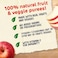 Nestle Cerelac Fruits Puree Pouch, Apple, from 6 Months, 90g
