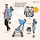 Nurtur Lightweight Foldable Baby Stroller B801FT, Blue, 6 Months to 3 Years