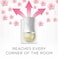 Air Wick Plug-in Scented Oil Fragrance Diffuser with Refill, Cherry Blossom Scent, 19ml