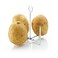 KITCHENCRAFT KCBAKER Potato Baker, Bagged with Header Card