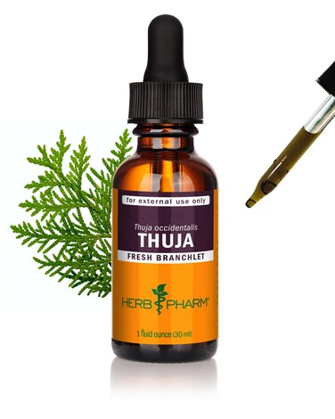 Herb Pharm Thuja Branchlet Liquid Extract Drops for External Use Only- 1 Oz