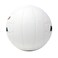 Mikasa Competitive Class Volleyball
