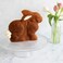 Nordic Ware Easter Bunny 3-D Cake Mold
