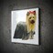 3dRose Yorkshire Terrier 6 Inch Ceramic Tile
