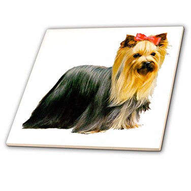 3dRose Yorkshire Terrier 6 Inch Ceramic Tile